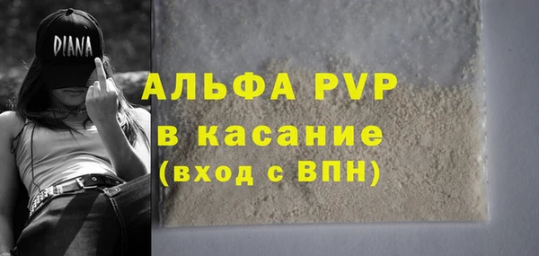 стафф Алзамай