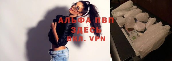 стафф Алзамай