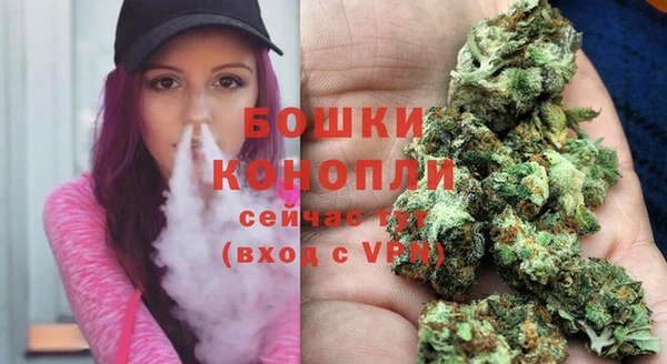 дурь Алексеевка