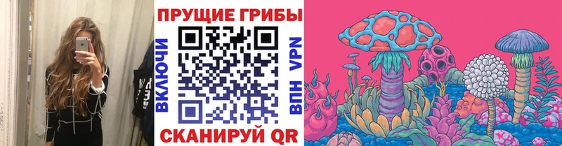 блэк спрут ссылка  Лебедянь  Псилоцибиновые грибы Psilocybine cubensis 